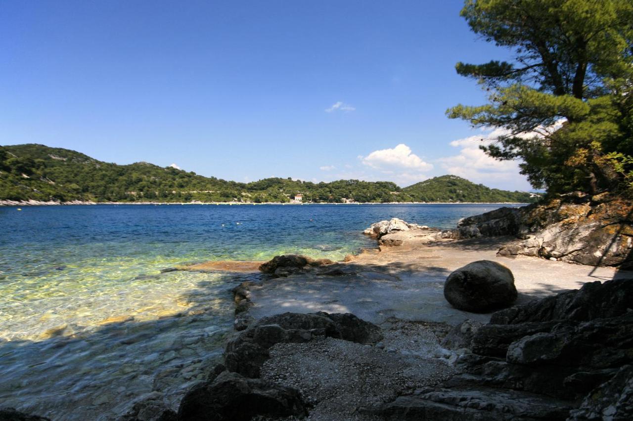 Apartments By The Sea Sobra, Mljet - 4908 Babino Polje Exterior photo